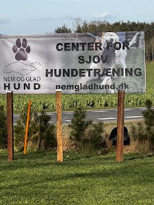 Nem og Glad Hund place picture